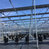 Agriculture Solar Farmland Mounting System